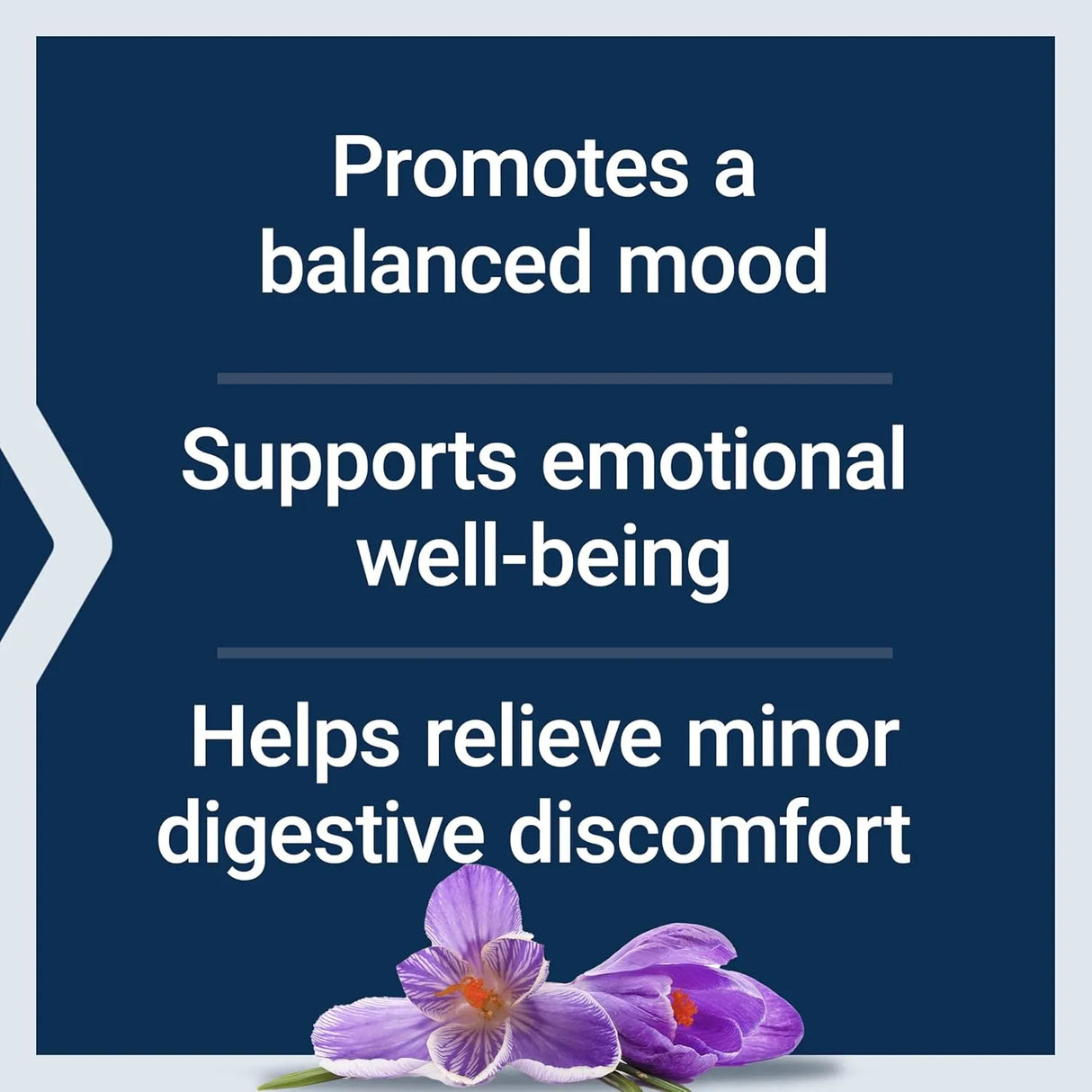 LIFE EXTENSION - Life Extension Mood Improve Probiotic & Saffron Blend 30 Capsulas - The Red Vitamin MX - Suplementos Alimenticios - {{ shop.shopifyCountryName }}