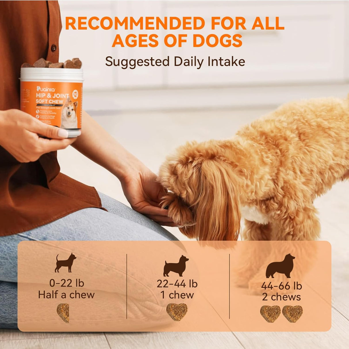 PUAINTA Dog Hip and Joint Supplement 30 Masticables