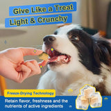 SHINEPAWS - SHINEPAWS Glucosamine for Dogs 120 Masticables - The Red Vitamin MX - Cuidado De Cadera Y Articulaciones Para Perros - {{ shop.shopifyCountryName }}
