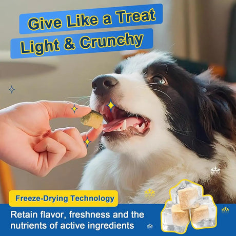 SHINEPAWS - SHINEPAWS Glucosamine for Dogs 120 Masticables - The Red Vitamin MX - Cuidado De Cadera Y Articulaciones Para Perros - {{ shop.shopifyCountryName }}
