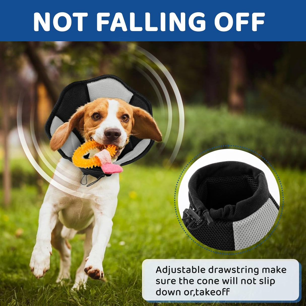 SUNFURA Dog Cone BLACK MEDIUM