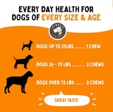 FINEST FOR PETS - Finest For Pets Dog Multivitamin Chewable Treats 120 Masticables - The Red Vitamin MX - Multivitamínicos Para Perros - {{ shop.shopifyCountryName }}