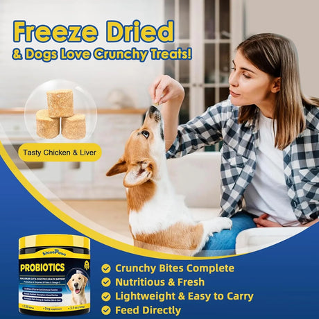 SHINEPAWS - SHINEPAWS Probiotics for Dogs 120 Masticables - The Red Vitamin MX - Probióticos Para Perros - {{ shop.shopifyCountryName }}