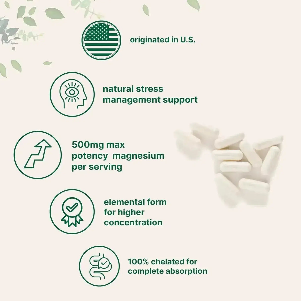 MICRO INGREDIENTS - Micro Ingredients Magnesium Glycinate 500Mg. 240 Capsulas - The Red Vitamin MX - Suplementos Alimenticios - {{ shop.shopifyCountryName }}