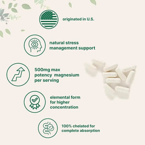 MICRO INGREDIENTS - Micro Ingredients Magnesium Glycinate 500Mg. 240 Capsulas - The Red Vitamin MX - Suplementos Alimenticios - {{ shop.shopifyCountryName }}