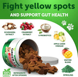 ARTULLANO - Artullano Grass Burn Spot Chews for Dogs 120 Masticables - The Red Vitamin MX - Salud De Tracto Urinario Para Perros - {{ shop.shopifyCountryName }}
