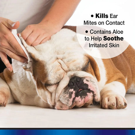 FOUR PAWS - Four Paws Aloe Ear Mite Treatment For Dogs 3/4 Oz. - The Red Vitamin MX - Cuidado Del Oído De Perros - {{ shop.shopifyCountryName }}