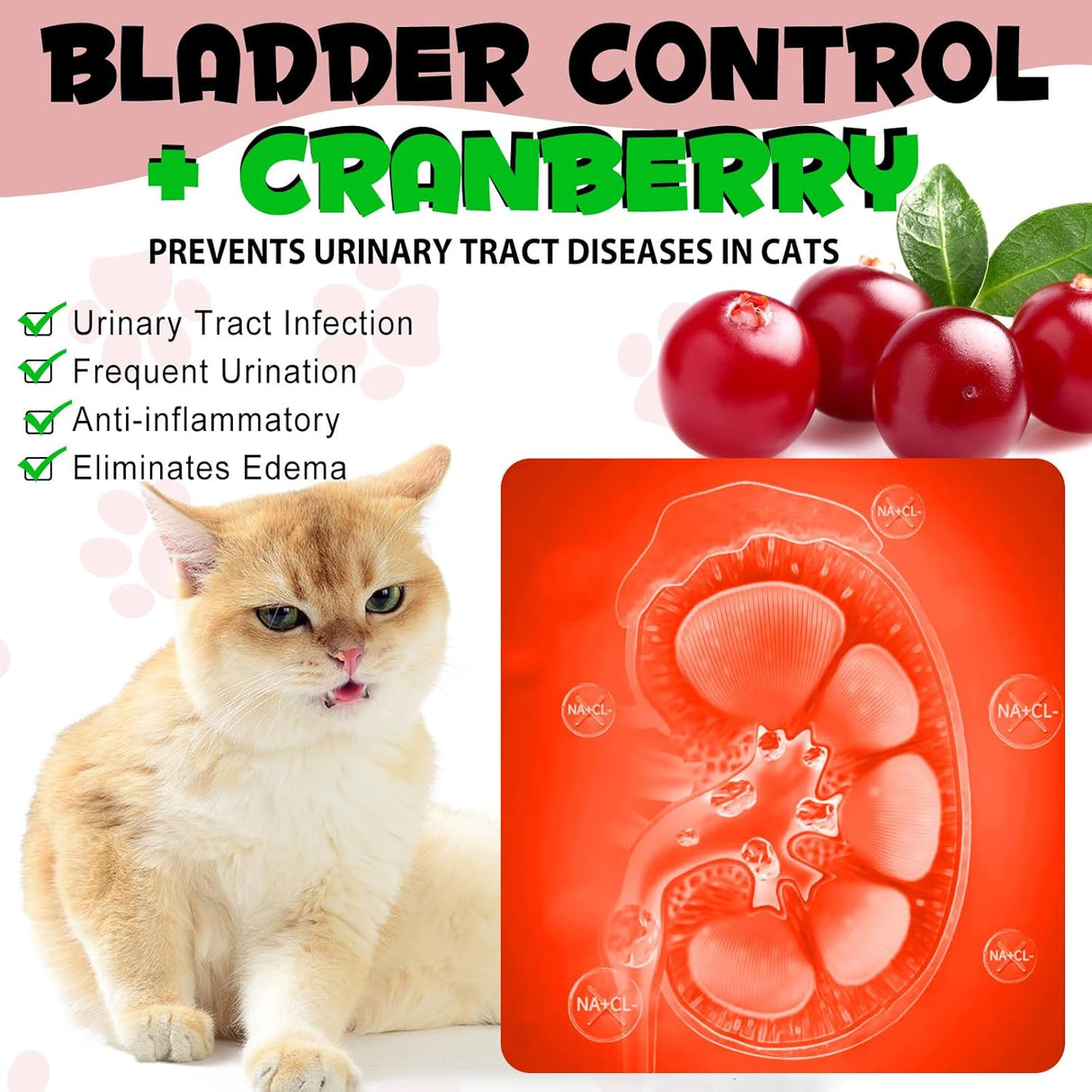 Oimmal Urinary Tract for Cats 60Ml.