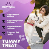 FURRY FUELS - FURRY FUELS Dog Probiotics for Digestive Health 120 Masticables - The Red Vitamin MX - Probióticos Para Perros - {{ shop.shopifyCountryName }}