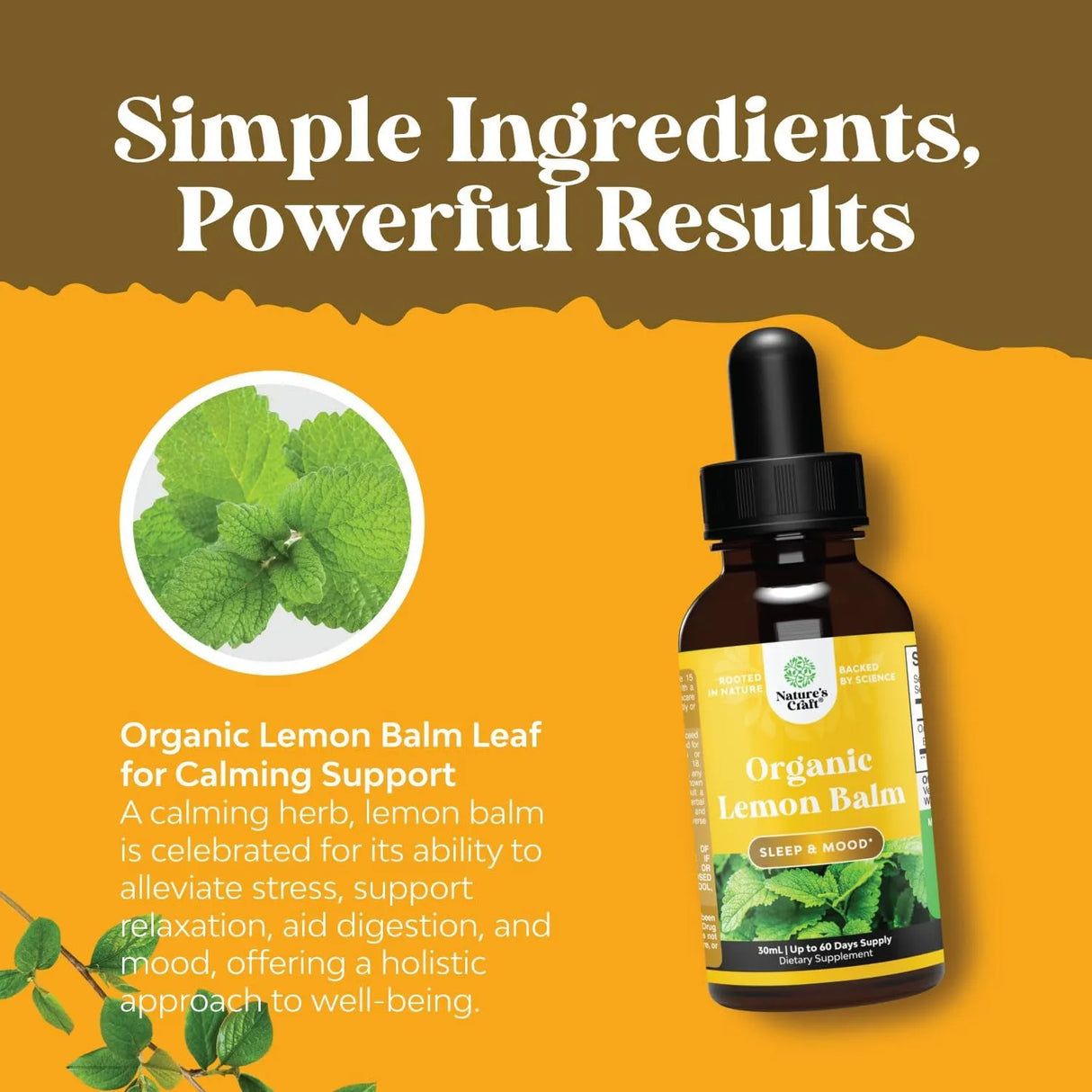 NATURES CRAFT - Natures Craft Lemon Balm Extract 30Ml. - The Red Vitamin MX - Suplementos Alimenticios - {{ shop.shopifyCountryName }}