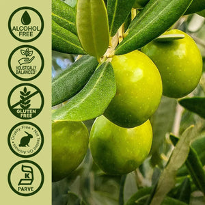 NATURE´S ANSWER - Nature's Answer Olive Leaf Extract 2 Fl.Oz. - The Red Vitamin MX - Suplementos Alimenticios - {{ shop.shopifyCountryName }}