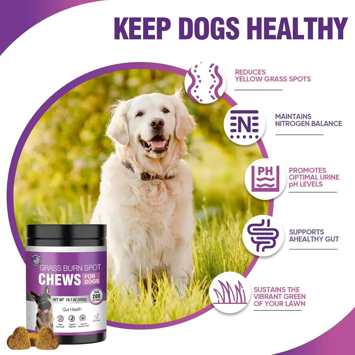 TTLXRL - TTLXRL Grass Burn Spot Chews for Dogs 200 Masticables - The Red Vitamin MX - Salud De Tracto Urinario Para Perros - {{ shop.shopifyCountryName }}