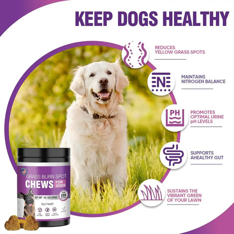 TTLXRL - TTLXRL Grass Burn Spot Chews for Dogs 200 Masticables - The Red Vitamin MX - Salud De Tracto Urinario Para Perros - {{ shop.shopifyCountryName }}