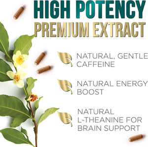 NATURE'S NUTRITION - Nature's Nutrition Green Tea Extract 1040Mg. 120 Capsulas - The Red Vitamin MX - Suplementos Alimenticios - {{ shop.shopifyCountryName }}