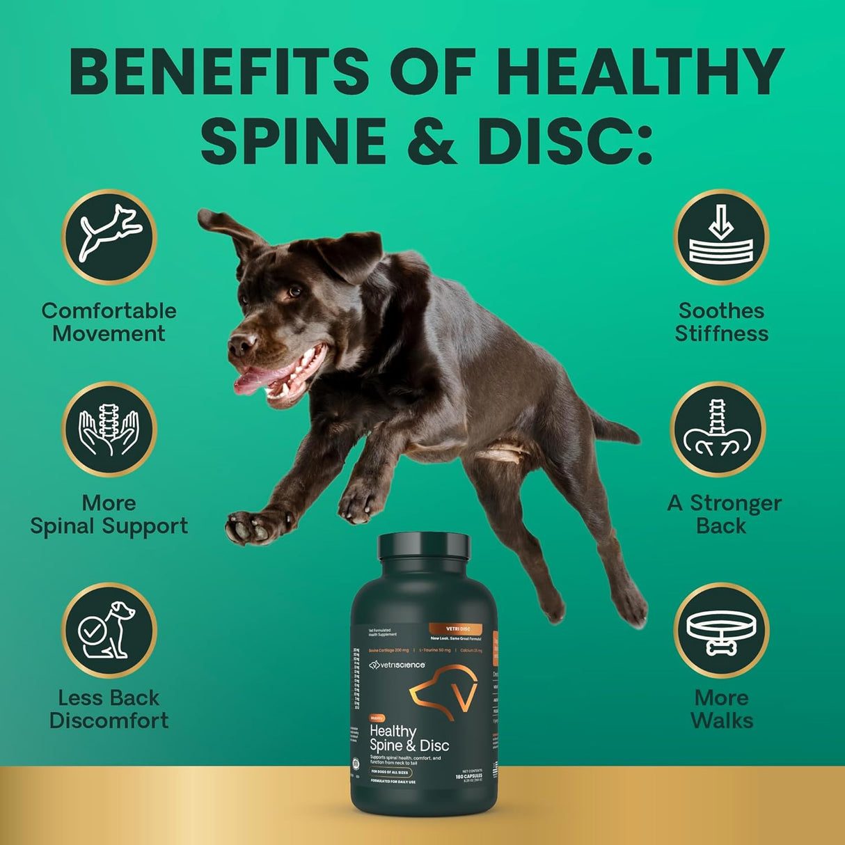 VetriScience Healthy Spine & Disc Back & Spinal Support Chondroitin & Taurine Supplement for Dogs 180 Capsulas