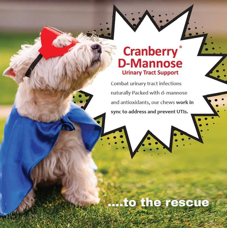 PET HEALTH SOLUTIONS - Pet Health Solutions Cranberry D-Mannose Urinary Tract Supplement for Dogs 120 Tabletas Masticables - The Red Vitamin MX - Salud De Tracto Urinario Para Perros - {{ shop.shopifyCountryName }}