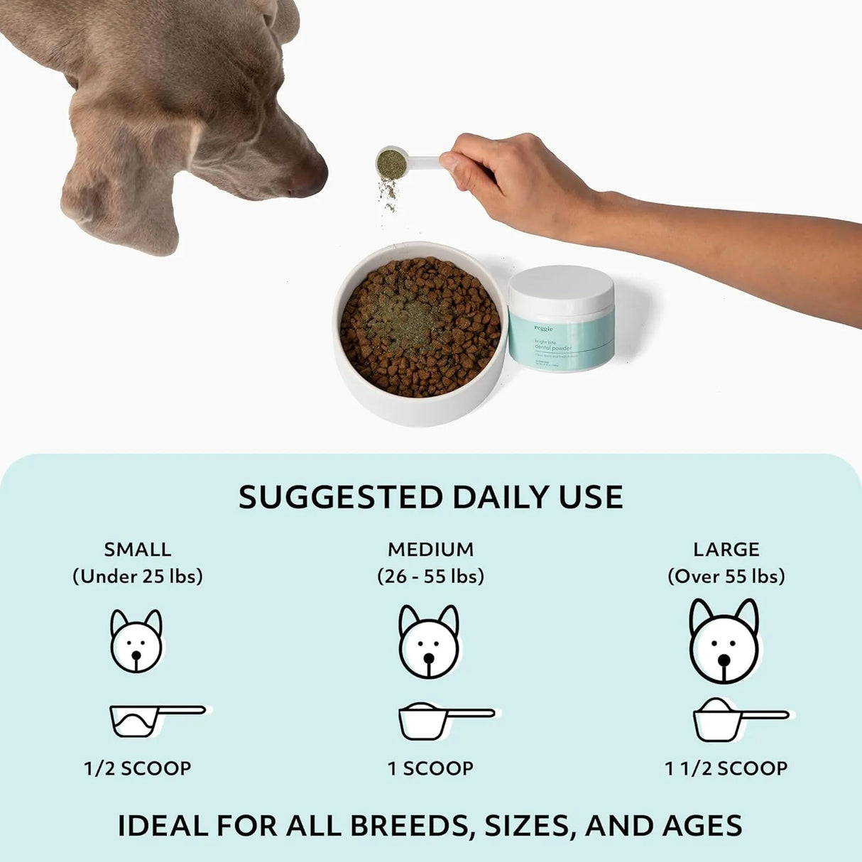 REGGIE - Reggie Bright Bite Dental Powder for Dogs 60 Servicios - The Red Vitamin MX - Cuidado Dental Para Perros - {{ shop.shopifyCountryName }}