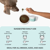 REGGIE - Reggie Bright Bite Dental Powder for Dogs 60 Servicios - The Red Vitamin MX - Cuidado Dental Para Perros - {{ shop.shopifyCountryName }}