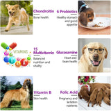 FRDUGA - FRDUGA 15-in-1 Dog Multivitamin 150 Masticables - The Red Vitamin MX - Multivitamínicos Para Perros - {{ shop.shopifyCountryName }}