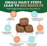 Doggie Dailies Probiotics for Dogs Pumpkin 225 Masticables