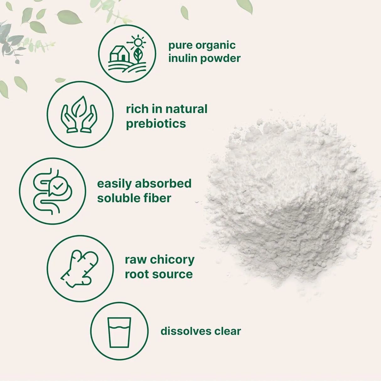 MICRO INGREDIENTS - Micro Ingredients Organic Chicory Root Inulin Powder 907Gr. - The Red Vitamin MX - Suplementos Alimenticios - {{ shop.shopifyCountryName }}