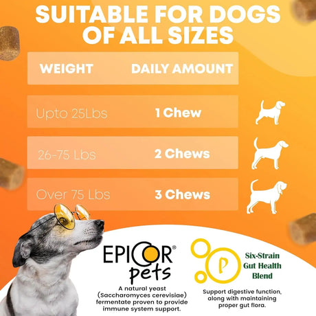 FURRY FUELS - FURRY FUELS Dog Allergy Relief Chicken Flavor 120 Masticables - The Red Vitamin MX - Remedios Para La Picazón De Perros - {{ shop.shopifyCountryName }}