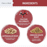 CHEW + HEAL - Chew + Heal Labs Dog UTI Treatment Cranberry Supplement for Dogs 120 Masticables - The Red Vitamin MX - Salud De Tracto Urinario Para Perros - {{ shop.shopifyCountryName }}