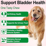 OIMMAL - Oimmal Urinary Tract for Dogs 2 Fl.Oz. - The Red Vitamin MX - Salud De Tracto Urinario Para Perros - {{ shop.shopifyCountryName }}