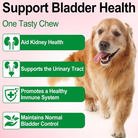 OIMMAL - Oimmal Urinary Tract for Dogs 2 Fl.Oz. - The Red Vitamin MX - Salud De Tracto Urinario Para Perros - {{ shop.shopifyCountryName }}