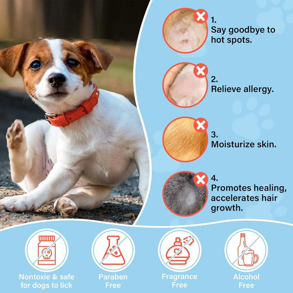 OIVOLII - Oivolii Dog & Cat Skin Care Roll-On with Coconut Oil 70Ml. - The Red Vitamin MX - Remedios Para La Picazón De Perros - {{ shop.shopifyCountryName }}