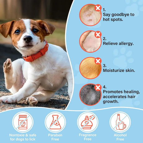OIVOLII - Oivolii Dog & Cat Skin Care Roll-On with Coconut Oil 70Ml. - The Red Vitamin MX - Remedios Para La Picazón De Perros - {{ shop.shopifyCountryName }}