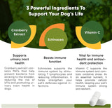 ROOTED OWL - Rooted Owl Urinary Support 60 Capsulas - The Red Vitamin MX - Salud De Tracto Urinario Para Perros - {{ shop.shopifyCountryName }}