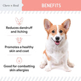 CHEW + HEAL - Chew + Heal Labs Wild Alaskan Salmon Fish Oil for Dogs 32 Fl.Oz. - The Red Vitamin MX - Aceite De Pescado Para Perros - {{ shop.shopifyCountryName }}
