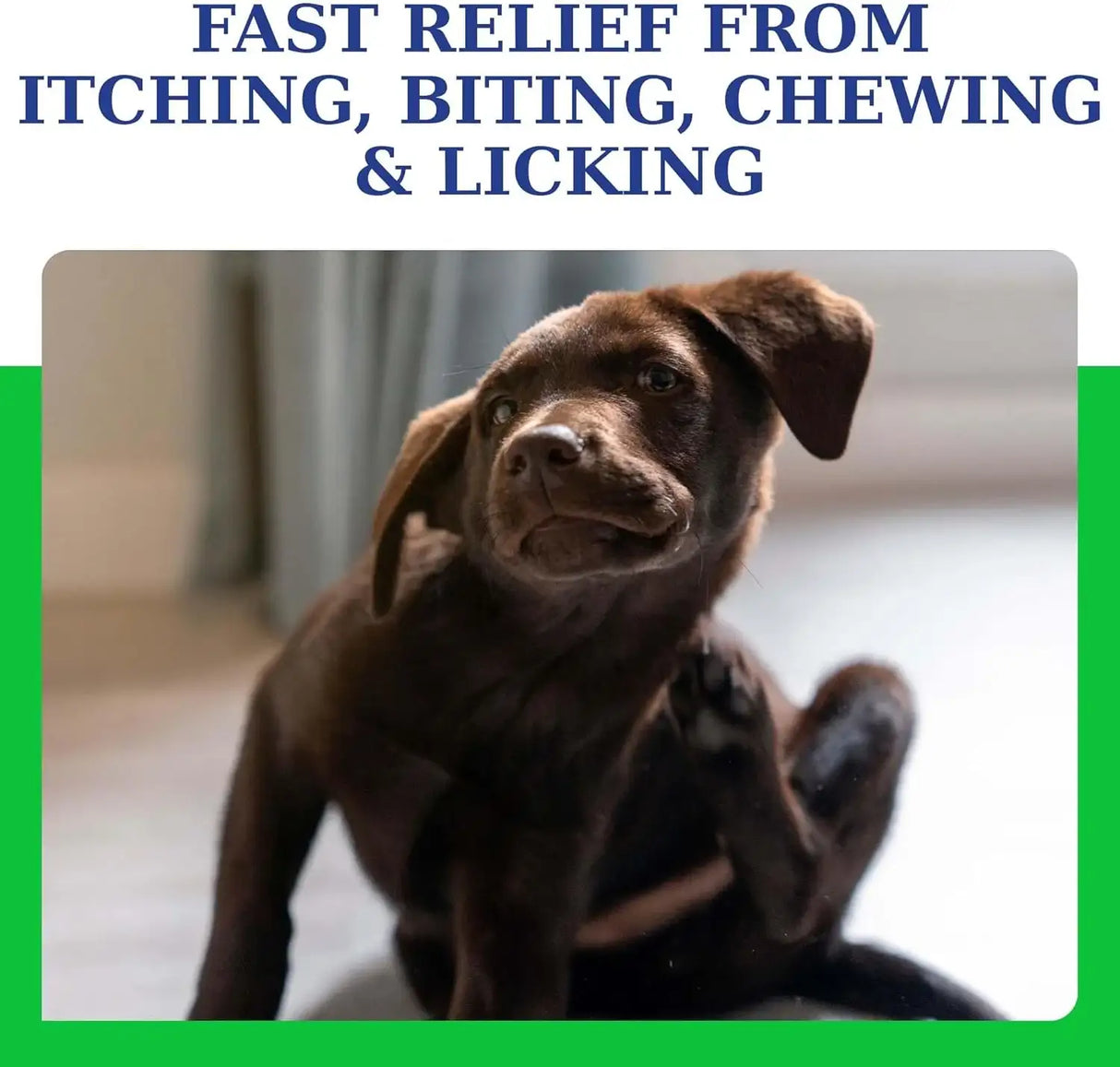 ATOPICREAM - AtopiCream HC Leave-In 1% Hydrocortisone Conditioner Moisturizer for Dogs 8 Fl.Oz. - The Red Vitamin MX - Remedios Para La Picazón De Perros - {{ shop.shopifyCountryName }}