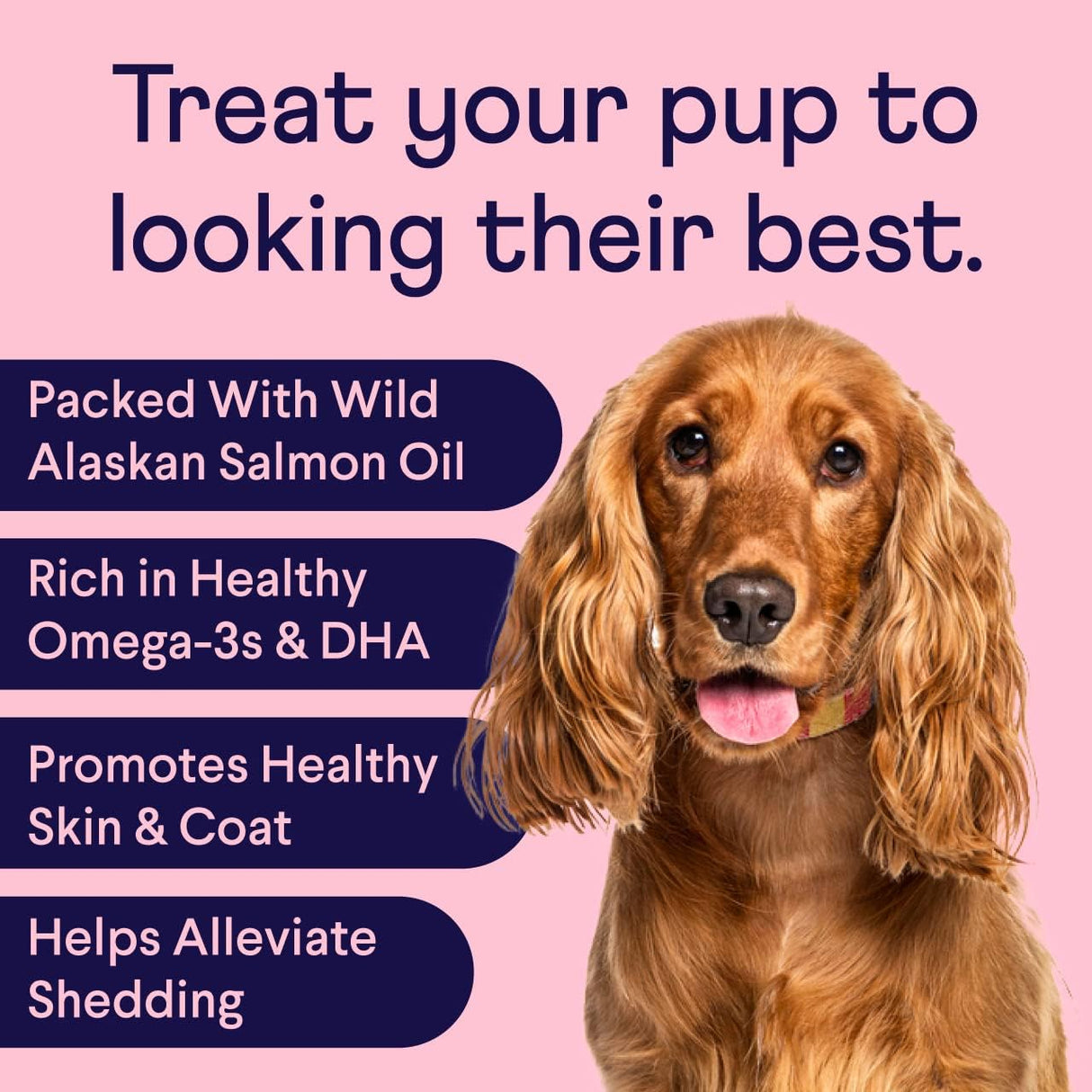 Finn Skin & Coat Salmon Oil Supplement for Dogs 90 Masticables
