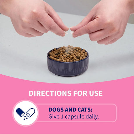 NUTRAMAX - Nutramax Proviable Probiotics for Dogs and Cats 80 Capsulas - The Red Vitamin MX - Probióticos Para Perros - {{ shop.shopifyCountryName }}