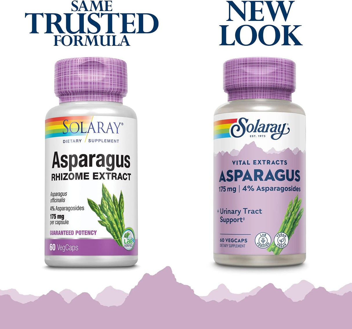 SOLARAY Asparagus Rhizome Extract 175Mg. w/Whole Root 60 Capsulas
