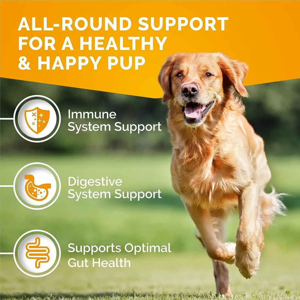 PREMIUM CARE - PREMIUM CARE Itch Relief for Dogs 120 Masticables - The Red Vitamin MX - Remedios Para La Picazón De Perros - {{ shop.shopifyCountryName }}