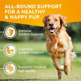 PREMIUM CARE - PREMIUM CARE Itch Relief for Dogs 120 Masticables - The Red Vitamin MX - Remedios Para La Picazón De Perros - {{ shop.shopifyCountryName }}