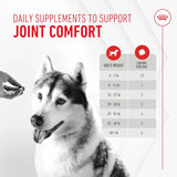 ROYAL CANIN - Royal Canin Joint Supplement Soft Chews for Adult Dogs 60 Masticables - The Red Vitamin MX - Cuidado De Cadera Y Articulaciones Para Perros - {{ shop.shopifyCountryName }}