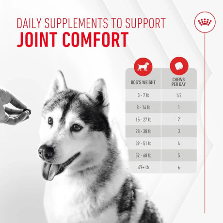 ROYAL CANIN - Royal Canin Joint Supplement Soft Chews for Adult Dogs 60 Masticables - The Red Vitamin MX - Cuidado De Cadera Y Articulaciones Para Perros - {{ shop.shopifyCountryName }}