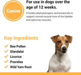 Vet Classics Bladder Incontinence Support Dog 120 Tabletas Masticables