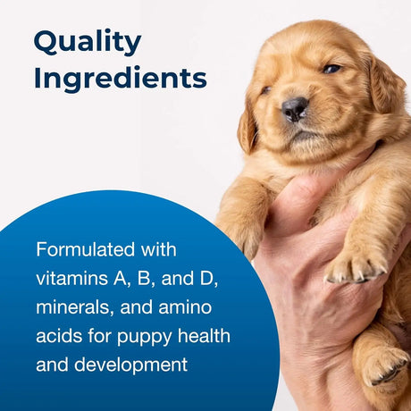 PETAG - Pet-Ag PetLac Powder for Puppies 300Gr. - The Red Vitamin MX - Sustitutos De Leche Para Perros - {{ shop.shopifyCountryName }}