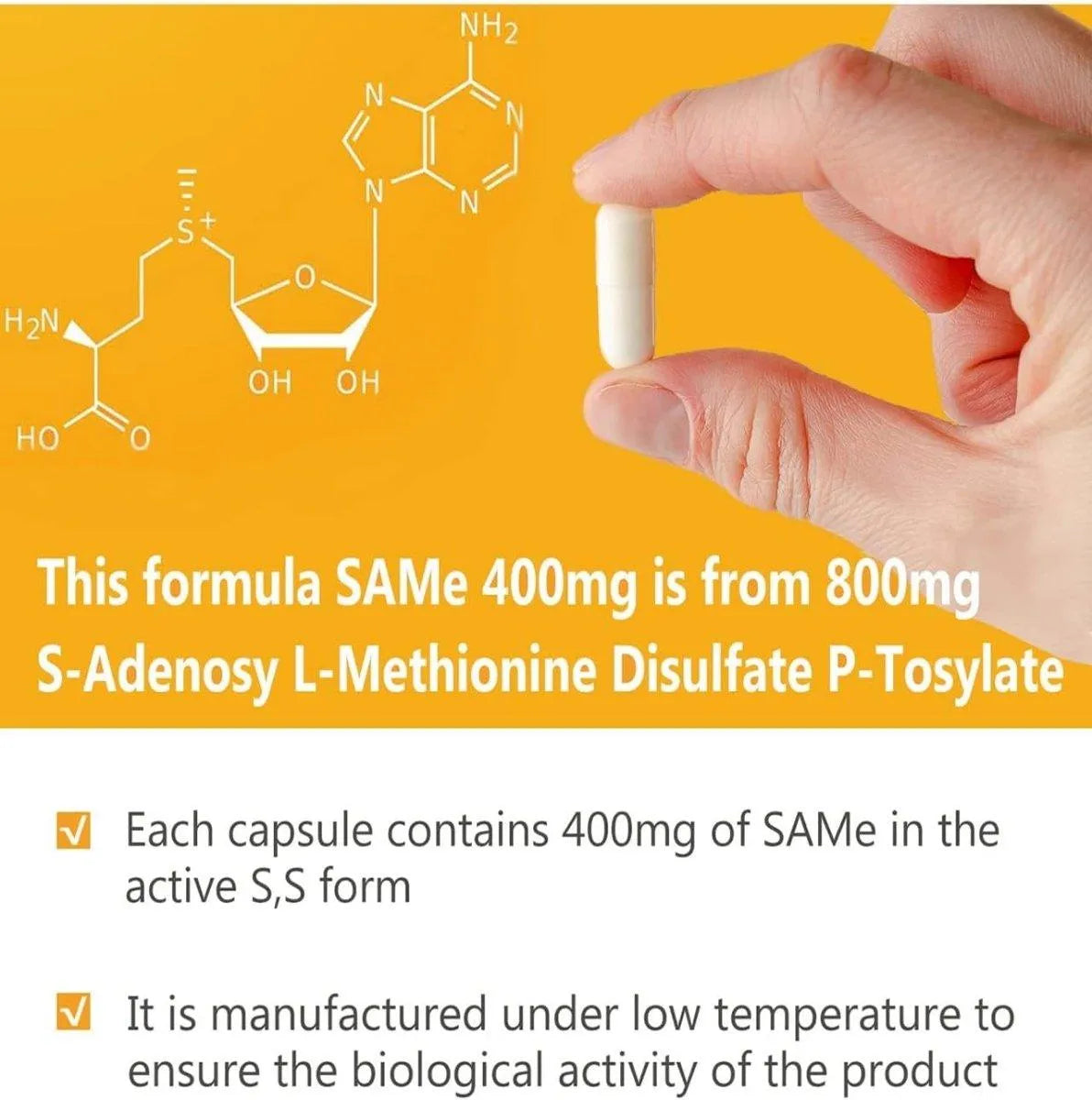 7C - 7C Sam-e 400Mg. 60 Capsulas - The Red Vitamin MX - Suplementos Alimenticios - {{ shop.shopifyCountryName }}