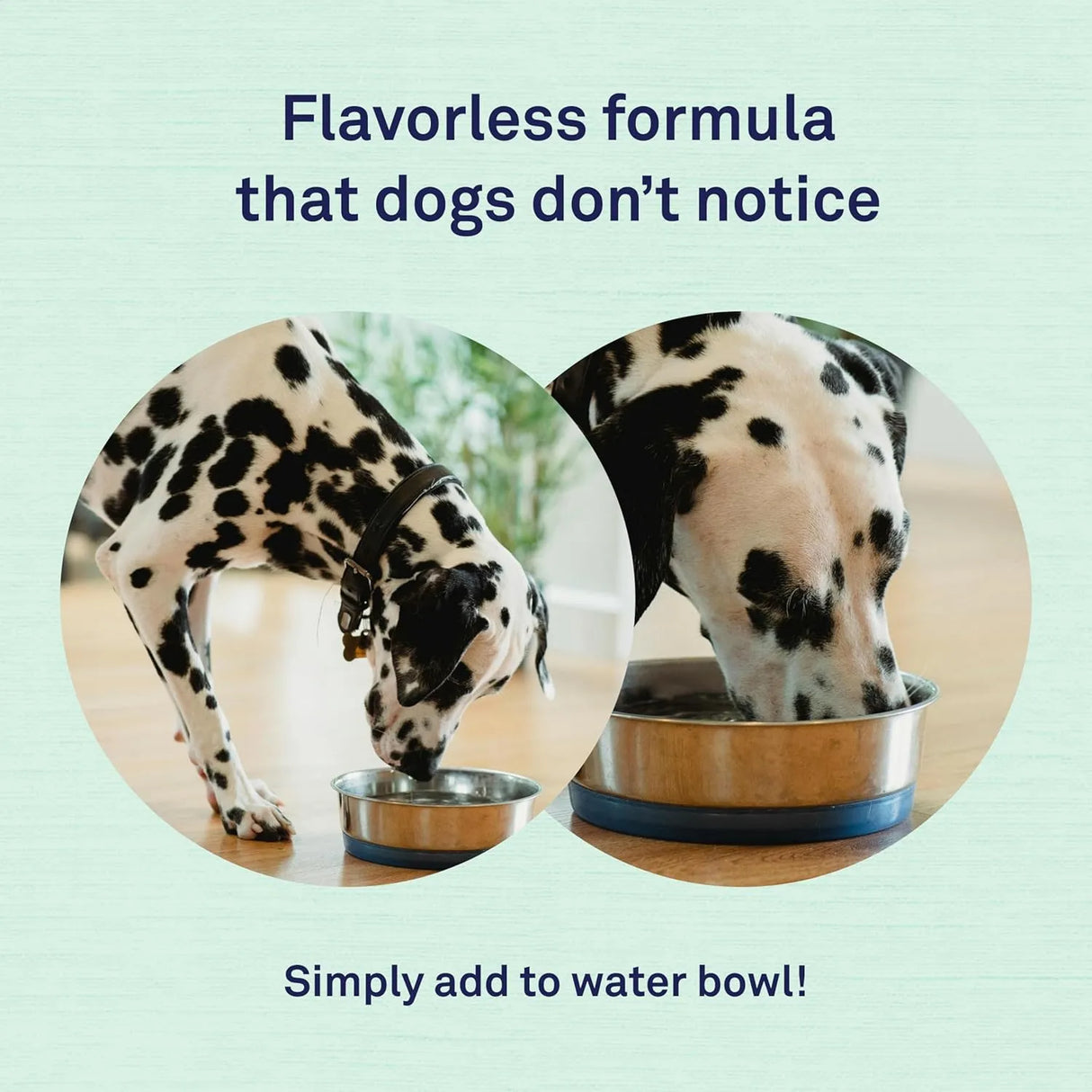 PETPOST - Petpost Dental Solution for Dogs Water Additive 474Ml. - The Red Vitamin MX - Cuidado Dental Para Perros - {{ shop.shopifyCountryName }}