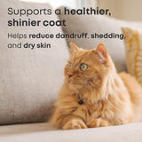 Freshly Bailey Omega 3 Fish Oil for Cats 118Ml.
