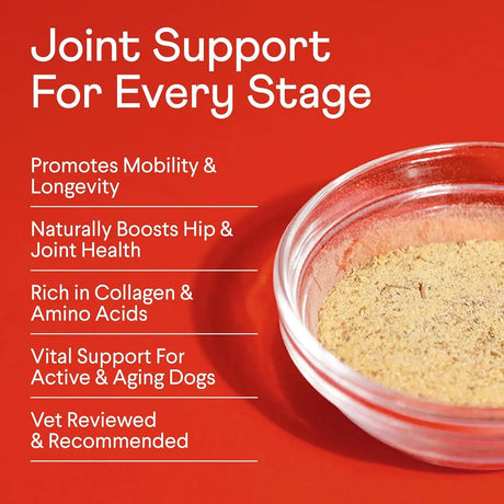 FINN - Finn Bone Broth Plus for Dogs Joint & Mobility Topper 227Gr. - The Red Vitamin MX - Cuidado De Cadera Y Articulaciones Para Perros - {{ shop.shopifyCountryName }}