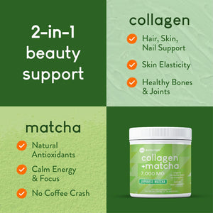 360 Nutrition Matcha Hydrolyzed Collagen Peptides Powder 16 Servicios 227Gr.