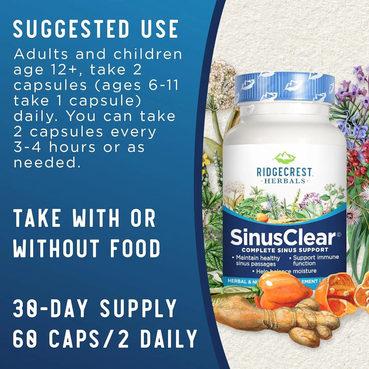 RIDGECREST HERBALS - RidgeCrest Herbals SinusClear 60 Capsulas - The Red Vitamin MX - Suplementos Alimenticios - {{ shop.shopifyCountryName }}