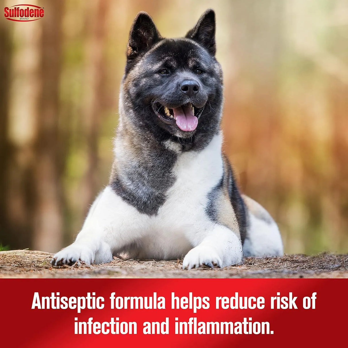 SULFODENE - Sulfodene Ear Cleaner for Dogs & Cats 4 Fl.Oz. - The Red Vitamin MX - Cuidado Del Oído De Perros - {{ shop.shopifyCountryName }}